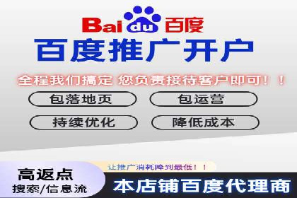 某电商平台的SEM推广实践与效果展示